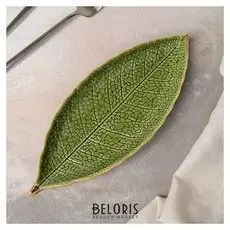 Блюдо сервировочное «Дендрарий», 26×10,5×1,5 см