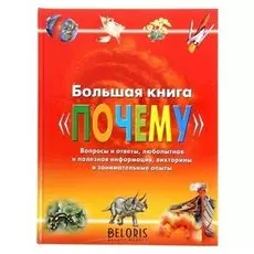Большая книга Почему