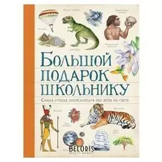 Большой подарок школьнику