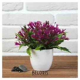 Бонсай с мелкими цветочками 17х17 см