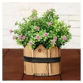 Бонсай "Цветики" 10х17 см