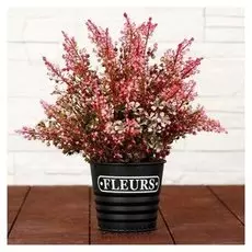 Бонсай "Цветник" 13х22 см