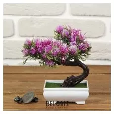 Бонсай "Деревце махрушка" 7*10,5*13,5 см