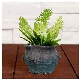 Бонсай "Гиацинт в горшке" 6х9 см