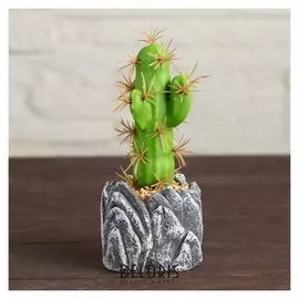 Бонсай "Кактус" 6х13 см