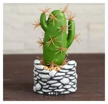 Бонсай "Кактус" Галька 6х13 см