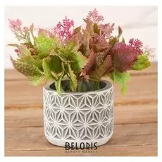 Бонсай "Листя мяты с листиками" 8*12 см