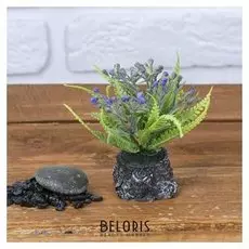 Бонсай "Папоротник и ягоды" 5х9,5 см