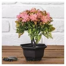 Бонсай "Пышные бутончики" 11х22 см