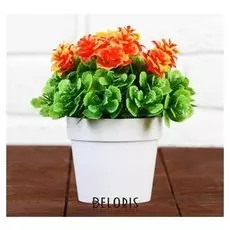 Бонсай "Пышные розочки" 9х13 см