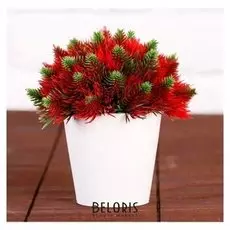 Бонсай "Пышные веточки" 8х15 см