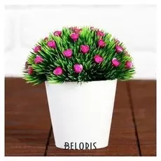 Бонсай "Розочки в траве" 8х11 см