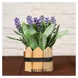 Бонсай "Снежноягодник" 10х18 см