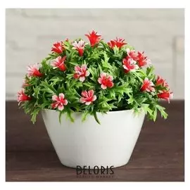 Бонсай в горшке "Бархатцы" 11х10 см