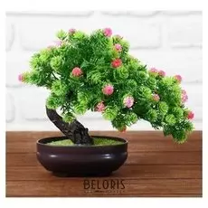 Бонсай в горшке "Деревце изгиб" 12*17 см