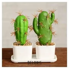 Бонсай в горшке "Кактус" 11,5х12 см