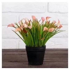 Бонсай в горшке "Каллы" 9*19 см