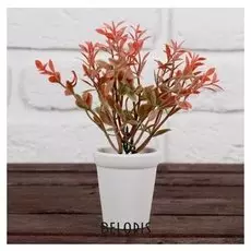 Бонсай в горшке "Ланг" 6*13 см