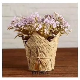 Бонсай в горшке "Морошка" 10х15 см