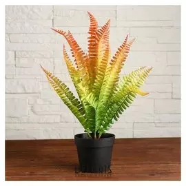 Бонсай в горшке "Папоротник" 10х33 см