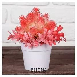 Бонсай в горшке "Пушистики с травкой" 10х16 см