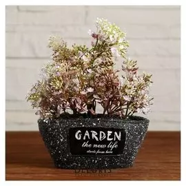 Бонсай в горшке "Роули" 14,5х18 см