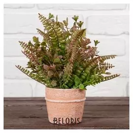 Бонсай в горшке "Садовые листики" 10х18 см