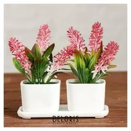 Бонсай в горшке "Седум" 11,5х10 см