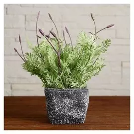 Бонсай в горшке "Солдатики с листьями" 9,5х23 см