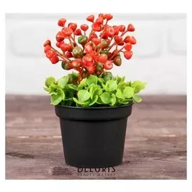 Бонсай в горшке "Ягодки мелкие" 7х11 см