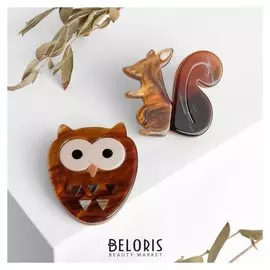 Брошь (Набор 2 штуки) "Сова с белкой", цвет коричневый