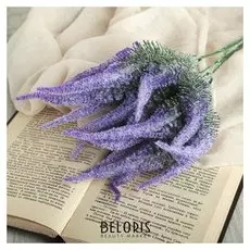 Букет "Акалифа" 30 см