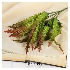 Букет "Апозерис" 28 см