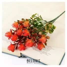 Букет "Астрагал" 30 см