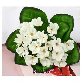 Букет "Герань душистая" 4х17 см