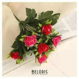 Букет "Гвоздика лилипот"