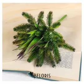 Букет "Хвойные ветви" 28 см