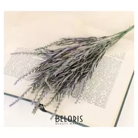 Букет "Колапис" 29 см