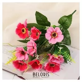 Букет "Космея первоцвет"