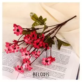 Букет "Маргаритки"