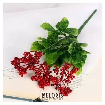 Букет "Нертера" 24 см