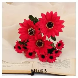 Букет "Нивяник сборный" 24 см