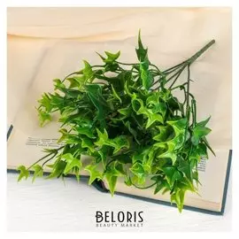 Букет "Плющ" 25 см