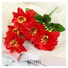 Букет "Пуансетия остролистая"