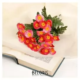 Букет "Ромашки"