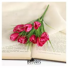 Букет "Тюльпаны"