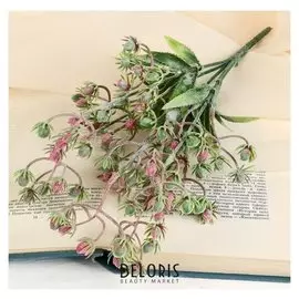 Букет "Ягодки" 26 см