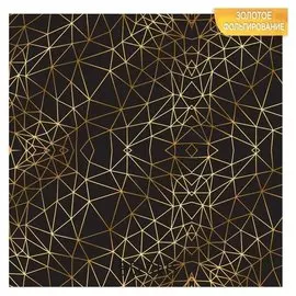 Бумага для скрапбукинга с фольгированием «Иллюзия», 10 листов, 30.5 × 30.5 см, 250 г/м