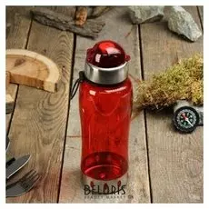 Бутылка для воды 700мл, вставка из металла, 7*24см