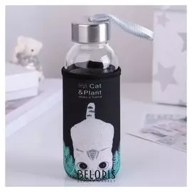 Бутылка «Хитрый котик», 300 мл, рисунок